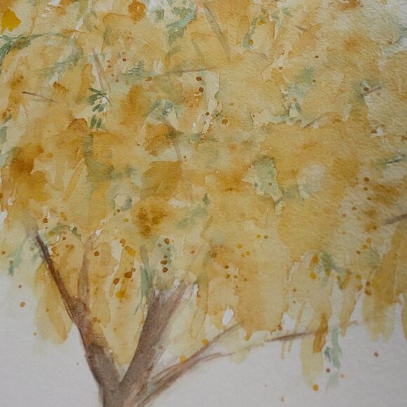 Golden Shower Tree Cassia Fistula: Original Watercolor Painting - Picture 3 of 5